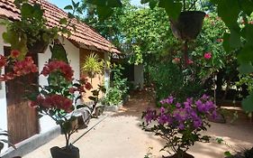 Mamisa Cafe, Home Stay