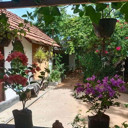 Mamisa Cafe, Home Stay Habarana Buitenkant foto