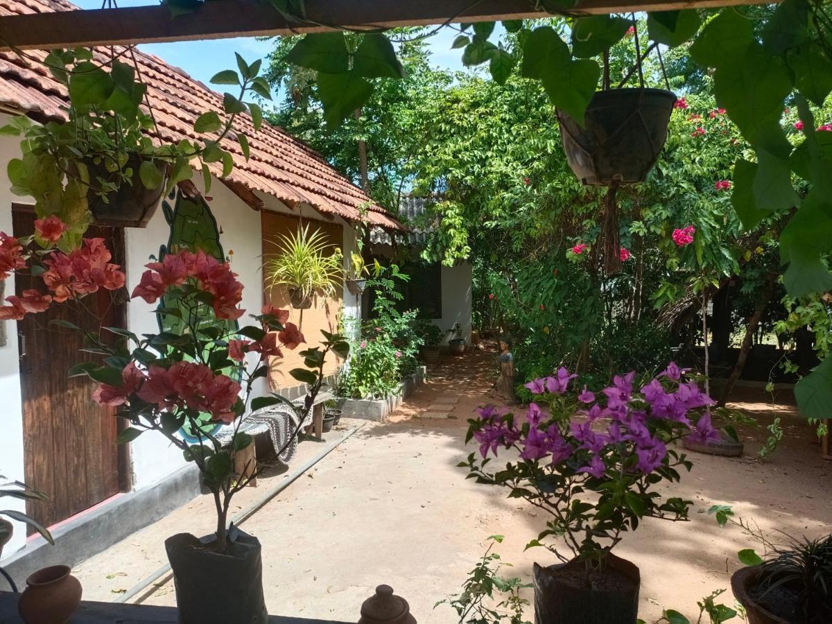 Mamisa Cafe, Home Stay Habarana Buitenkant foto